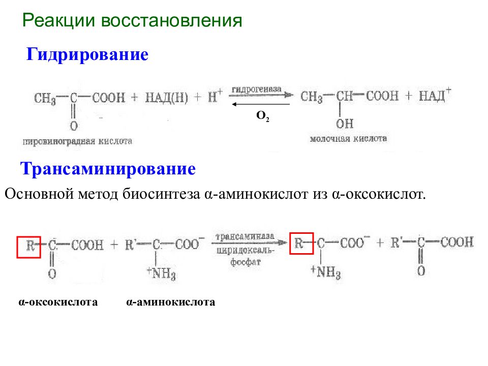 Карбоновые кислоты и их производные презентация