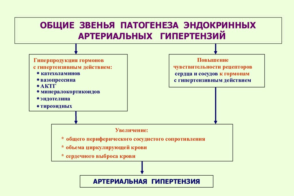 Климактерическая артериальная гипертензия этиология патогенез клиническая картина лечение