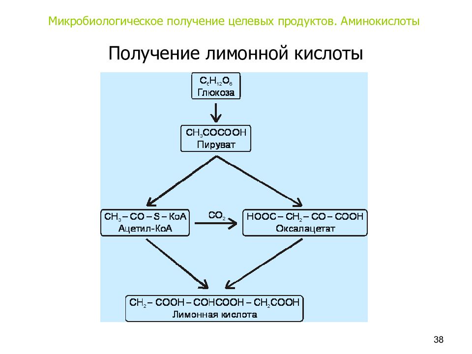 Получение целевого. Производство лимонной кислоты микробиологическим синтезом. Получение лимонной кислоты. Синтез целевого продукта. Микробиологическое получение аминокислот..