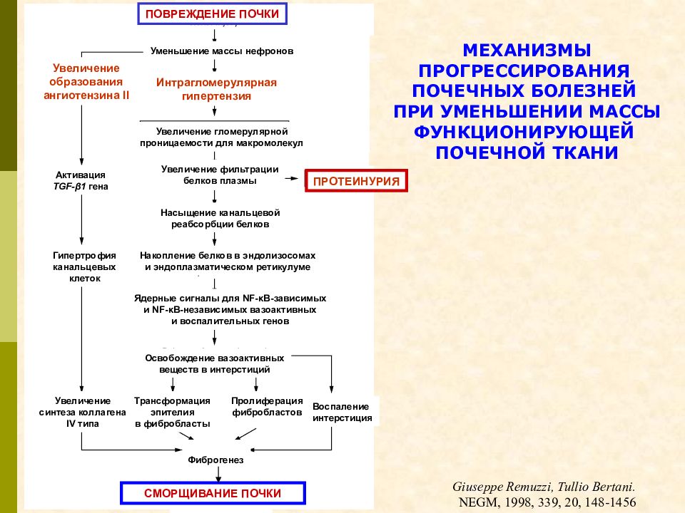 Механизм формирования хбп при сд схема