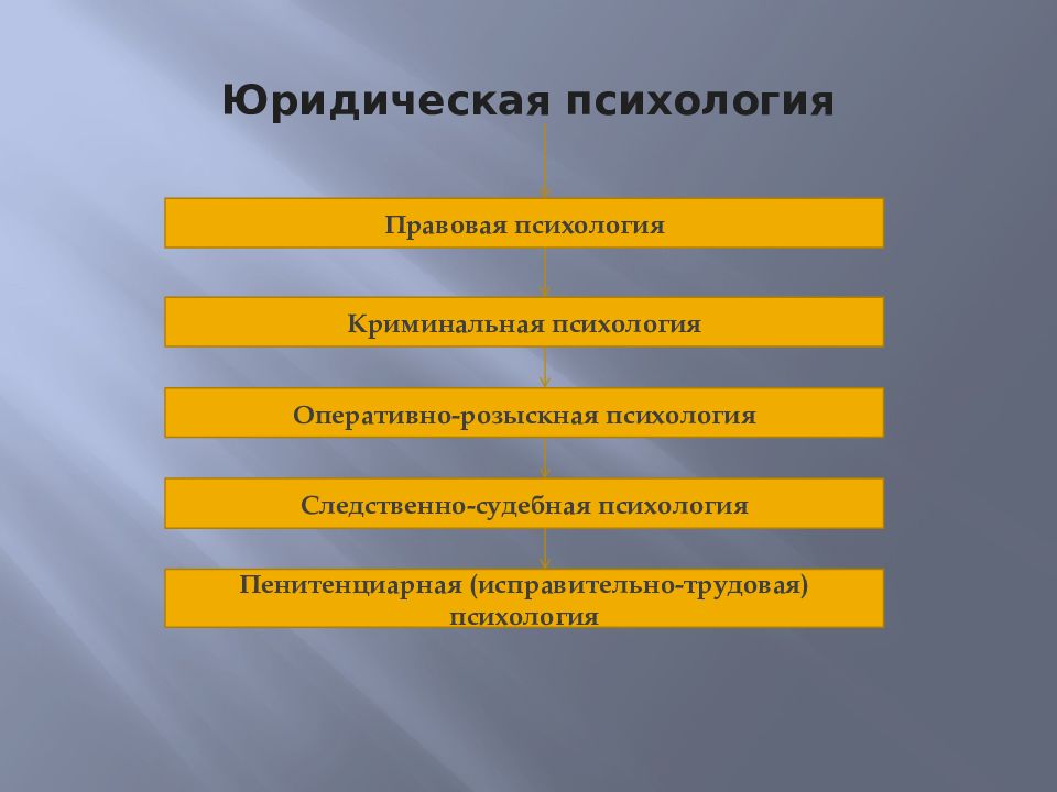 Части психологии. Разделы в структуре юридической психологии. Юридическая психология. Отрасли юр психологии. К отраслям юридической психологии относятся:.