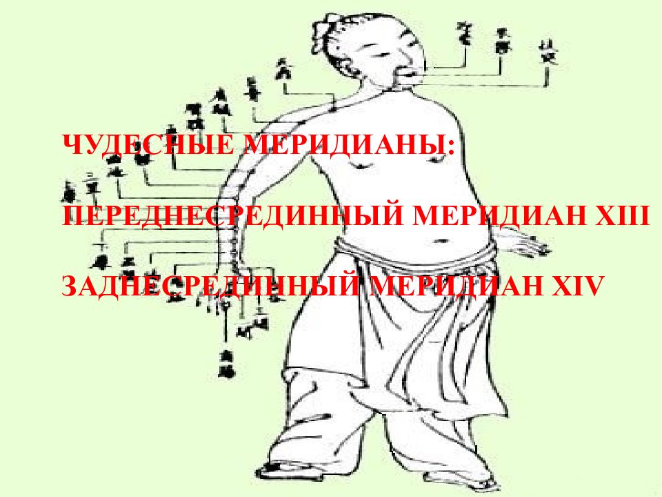 ЧУДЕСНЫЕ МЕРИДИАНЫ : ПЕРЕДНЕСРЕДИННЫЙ МЕРИДИАН XIII ЗАДНЕСРЕДИННЫЙ МЕРИДИАН XIV