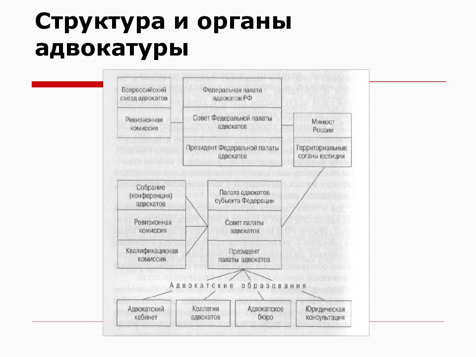 Адвокатура в таблицах и схемах