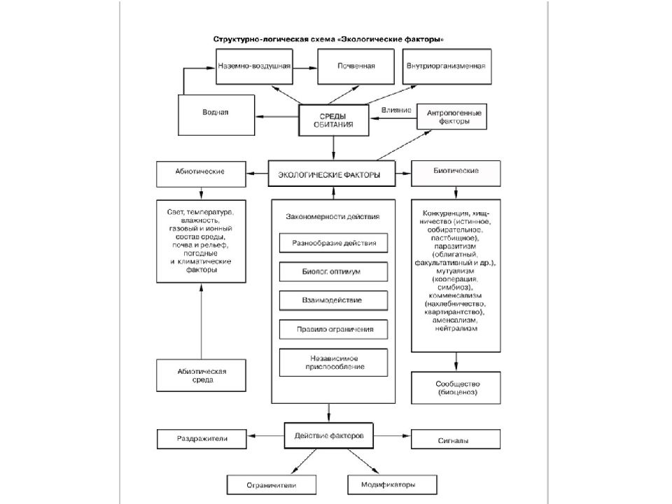 Факторы воздействия на окружающую среду схема. Схема экологические факторы. Экология схема. Окружающая среда схема. Блок-схему экологические факторы.