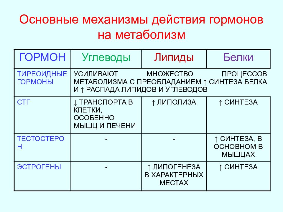 Обмен веществ лекция