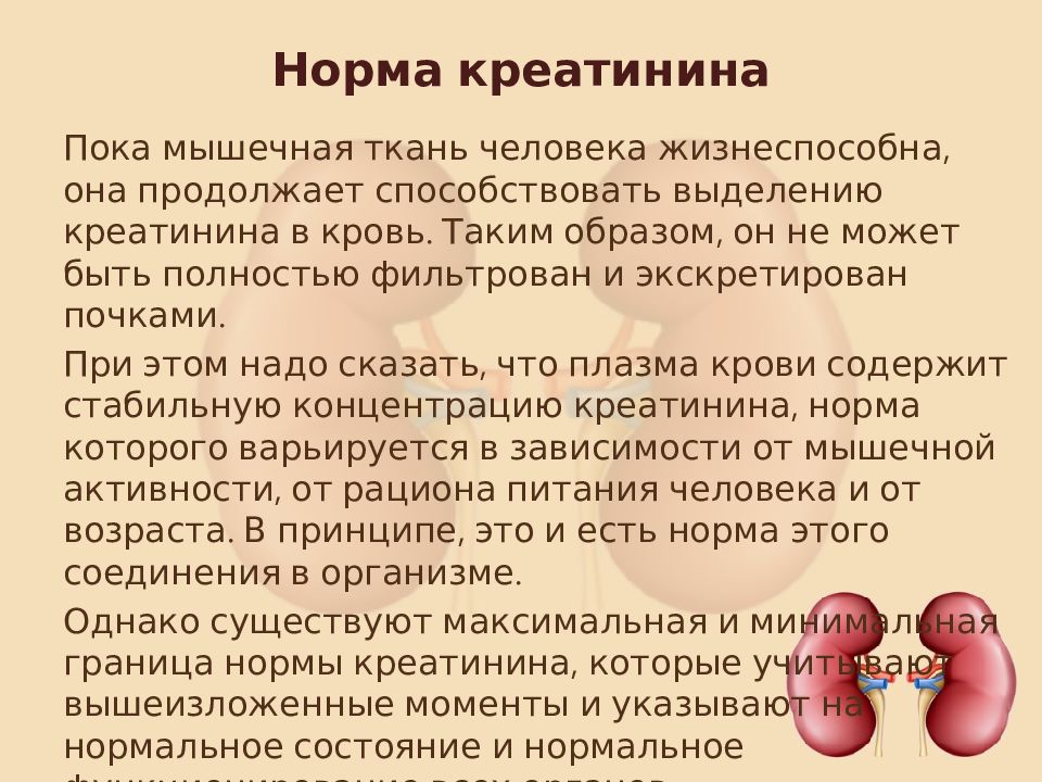 Влияет ли на почки. Показатели почек креатинин. Диета при повышенном креатинине в крови. Креатинин повышен при. Норма креатинина.