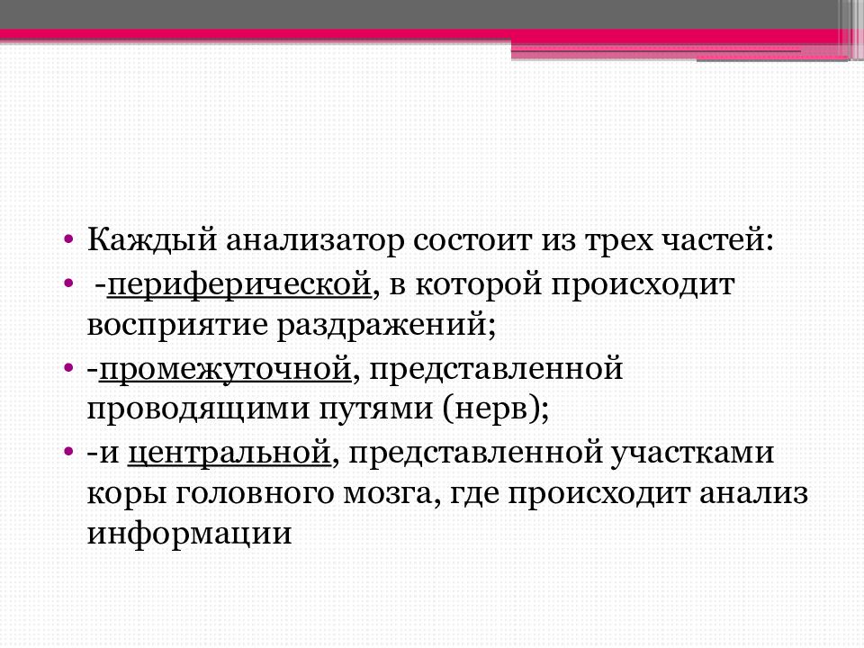 Из каких частей состоит анализатор 8 класс