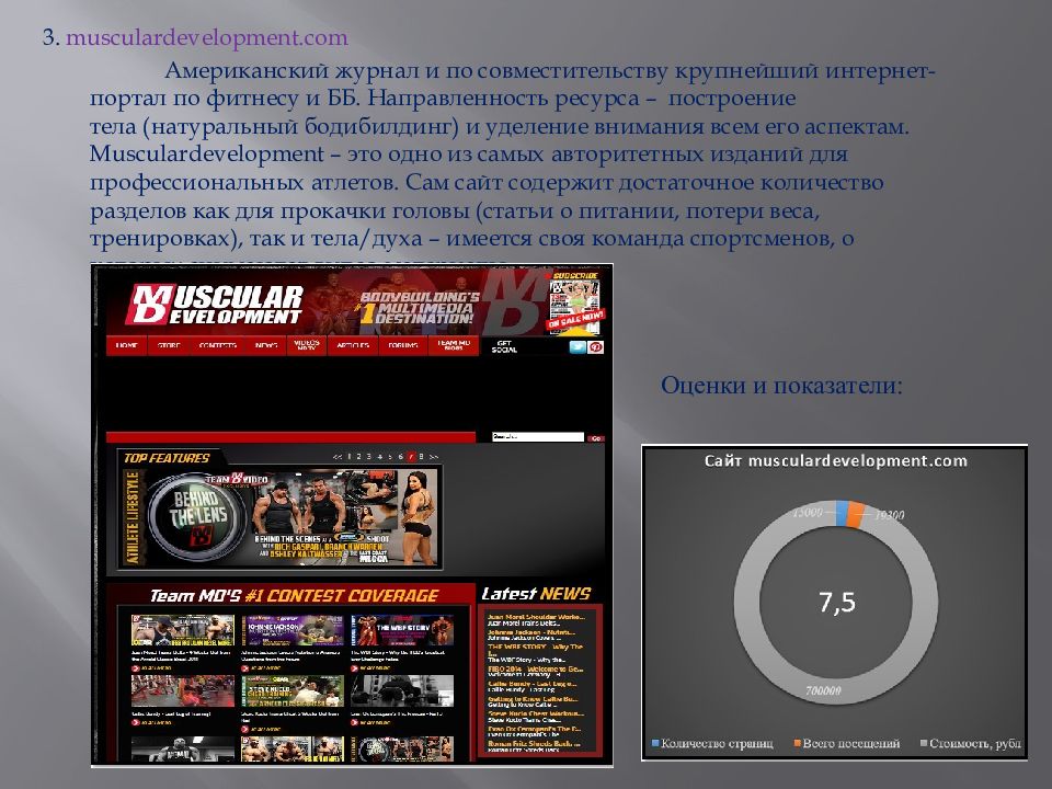 Сведения о кулине. Крупнейший интернет портал. Интернет портал. Портал работа в россии. Сайт портал пример.