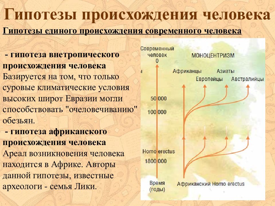 Эволюция человека возможные результаты проект