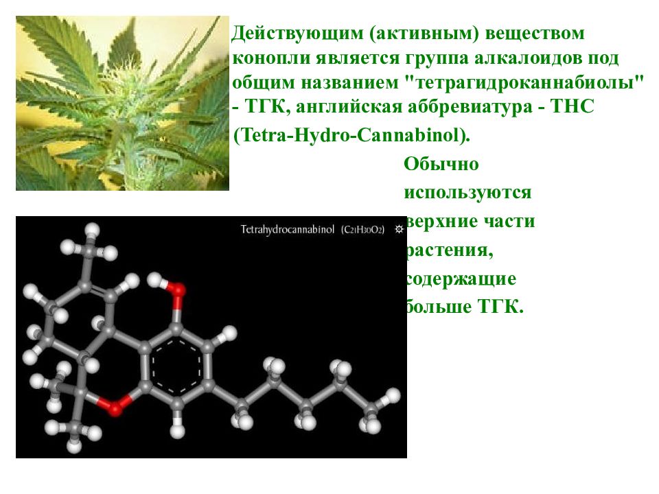 Презентация по теме алкалоиды