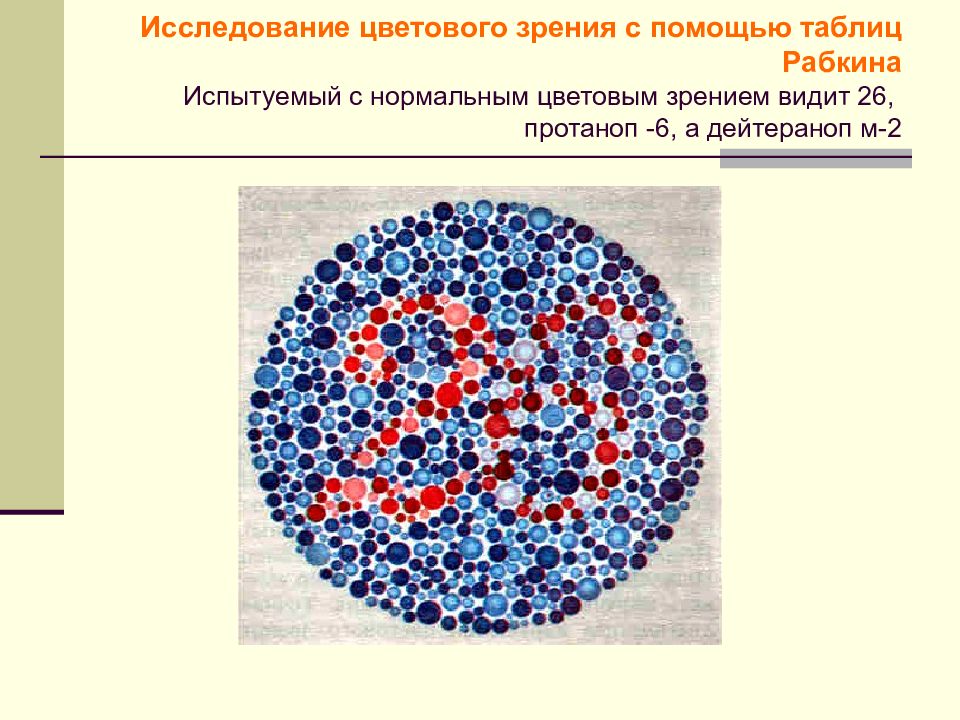 Цветовое зрение поле зрения. Исследование цветового зрения. характеристики цветового зрения. с в кравков цветовое зрение. характеристика индивидуального цветового зрения.