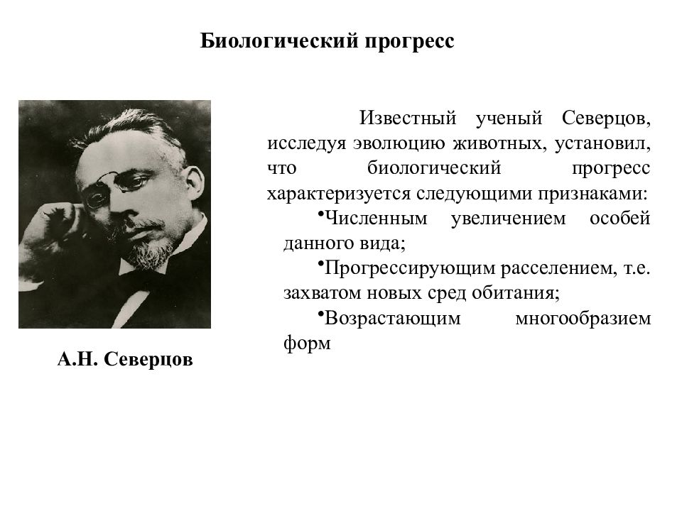 Известный ученый лев николаевич егэ. Северцов биологический Прогресс. Биологический Прогресс характеризуется. Биологический Прогресс характеризуется следующими. Критерии биологического прогресса по Северцову.