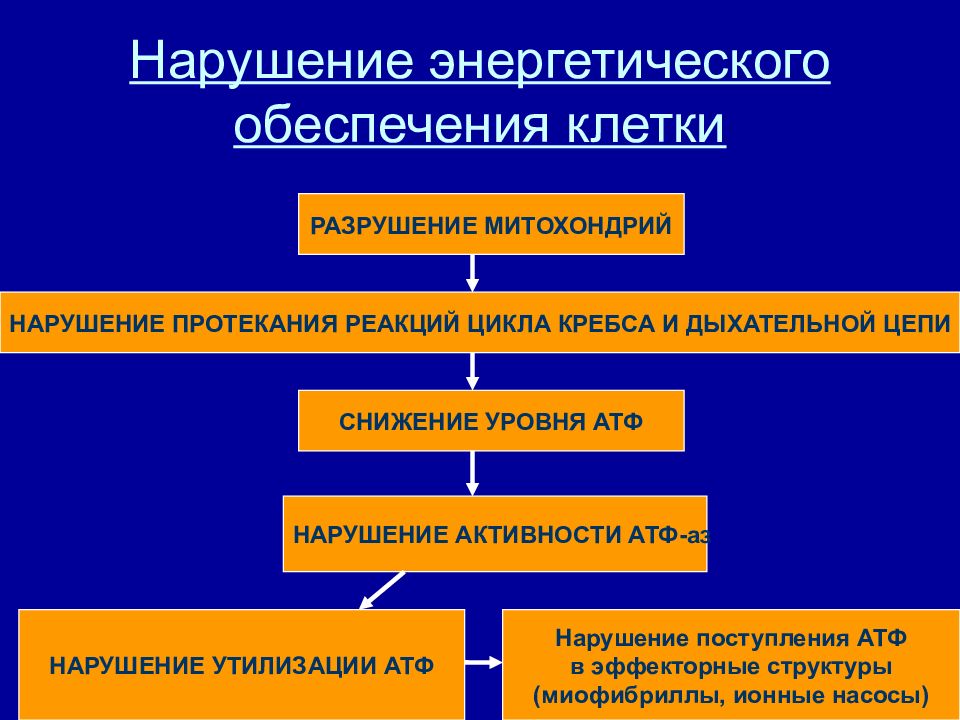 Повреждение клетки патофизиология презентация