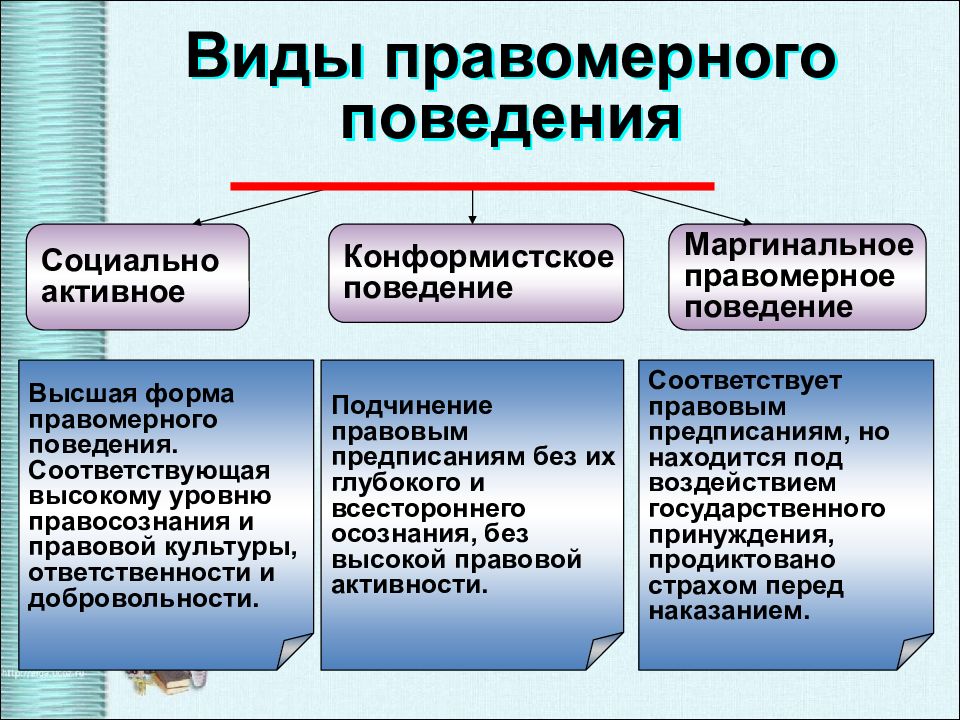 Образец социального поведения это