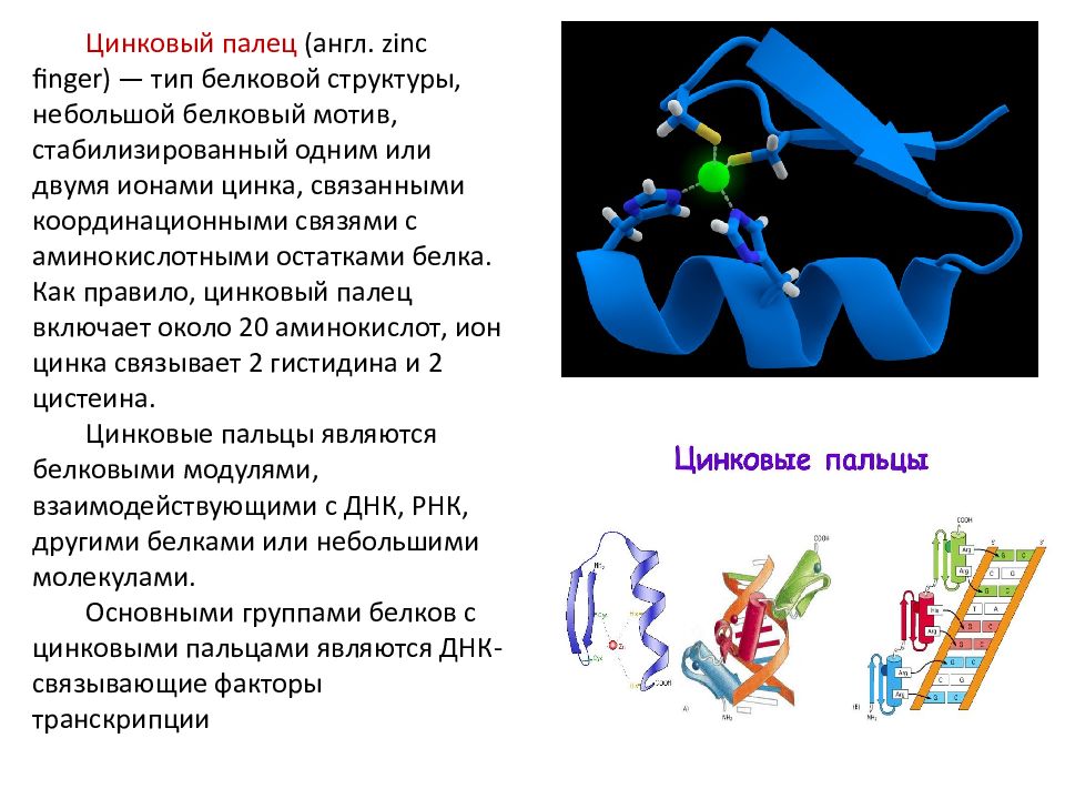 Сигналы рецепторов