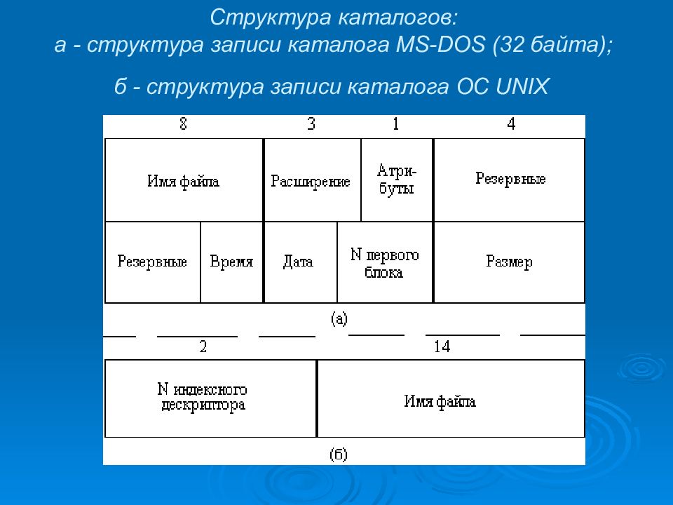 Структура каталога. Структура каталогов. Структура записи. Структура dos. Структура записей в каталоге.