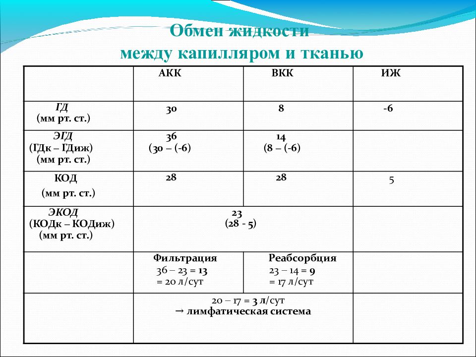 Ов 60. Обмен электролитов между капиллярами и водой. Жидкость между тканями 5 букв.