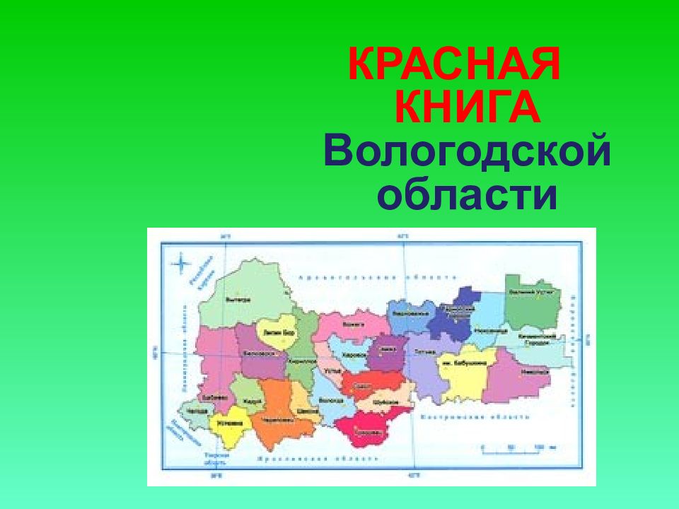 Растения вологодской области презентация