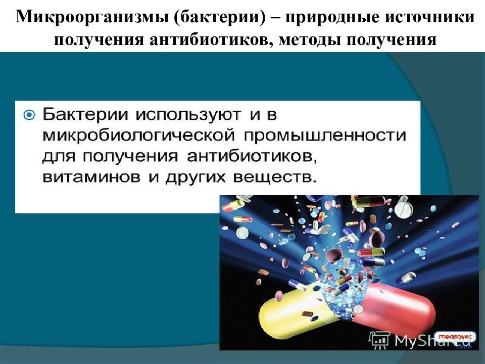 Способы получения антибиотиков. Бактерии для получения антибиотиков. Источники получения антибиотиков. Источники получения антибиотиков бактериями. Получение лекарственных препаратов бактерии.