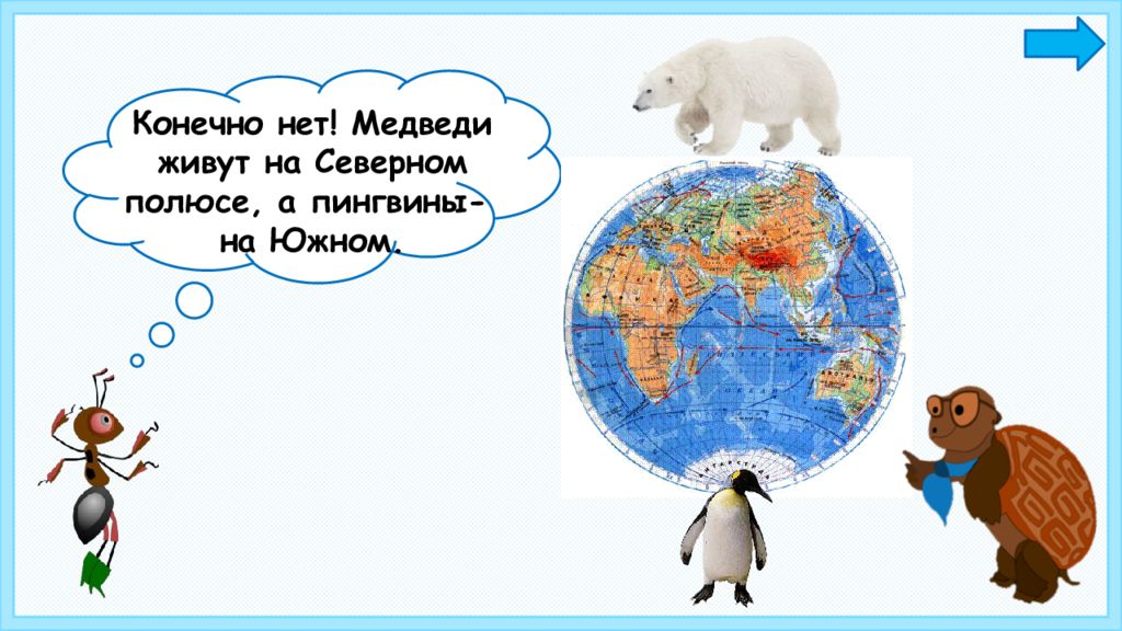 Разные полюса. Где живут пингвины и белые медведи. Медведи живут на Северном полюсе. На Южном полюсе живут. Пингвины и медведи живут на разных полюсах.