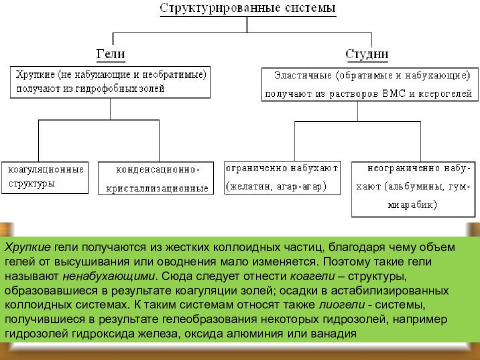 Презентация гели и студни