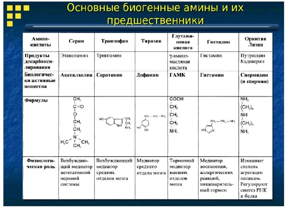 Биогенные амины это