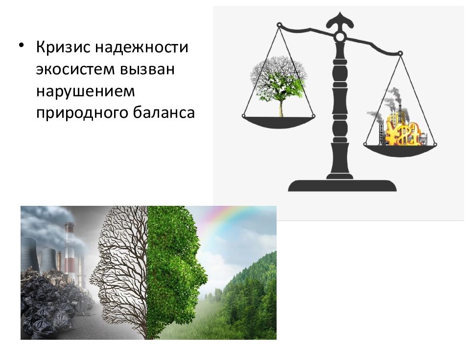 Баланс природных ресурсов. Антропогенный экологический кризис. Экологический баланс. Антропогенные кризисы в истории биосферы.