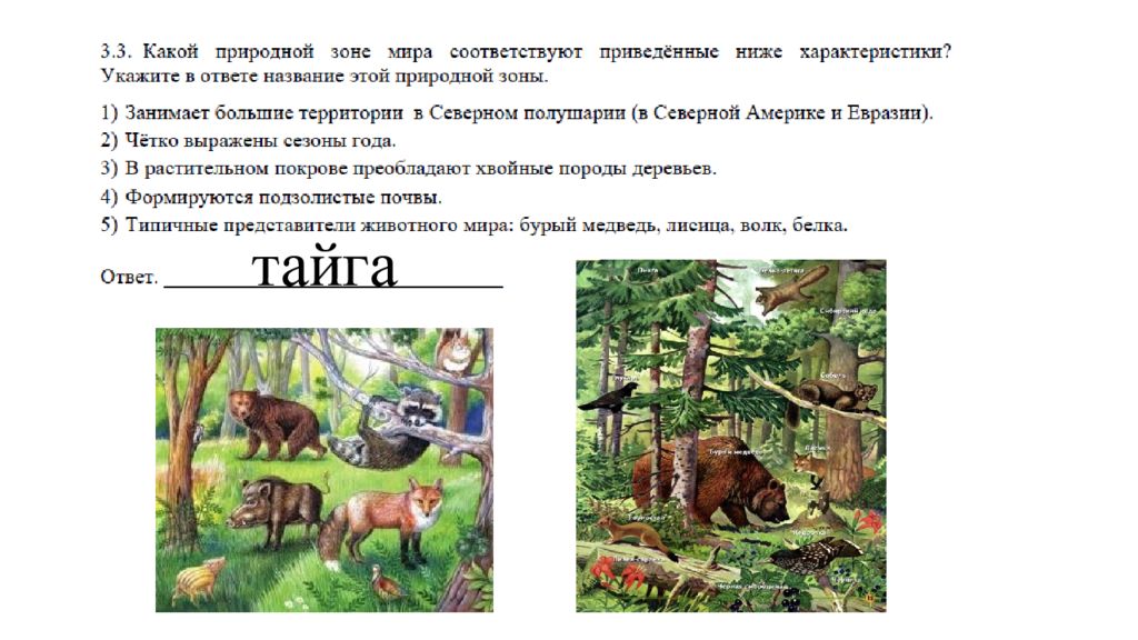 Какой природной зоне соответствует приведенный ниже. Какой природной зоны зоне мира соответствуют ниже характеристики. Какой природной зоне мира соответствуют приведённые. Какой природной зоне мира соответствуют приведённые ниже. Четко выражены сезоны года природная зона.