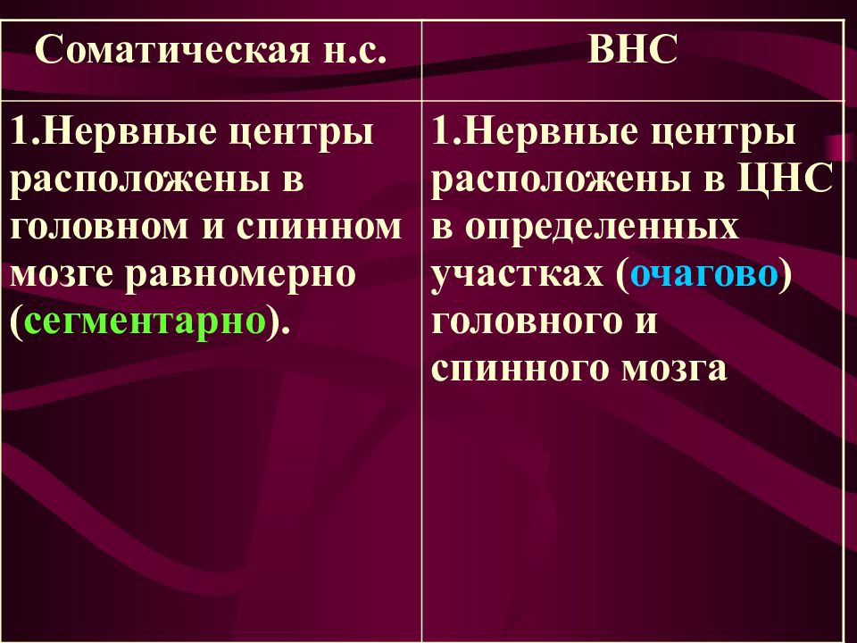 Автономная вегетативная нервная система презентация