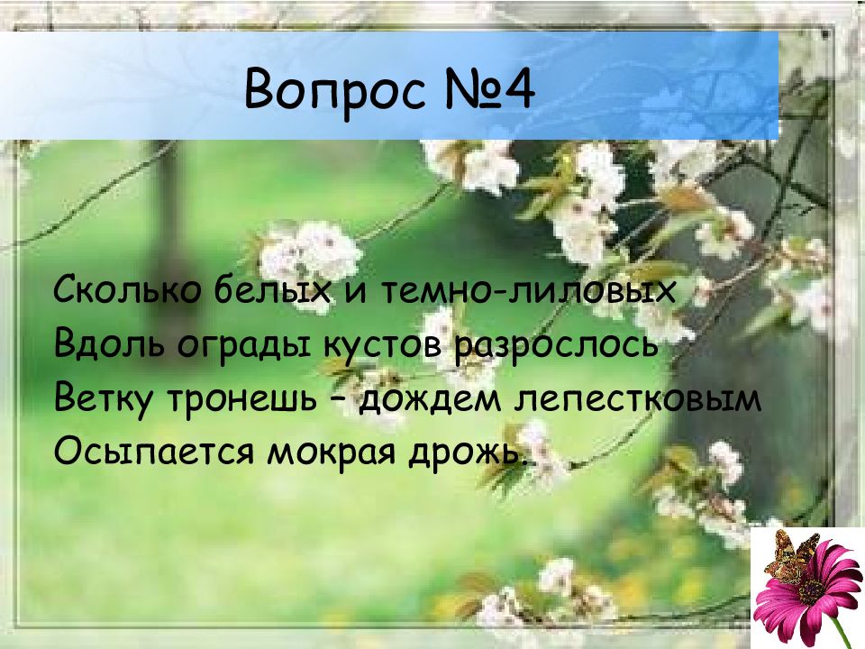 Сколько белых цветов. Цветы земной красы начало. Ветку тронешь дождем лепестковым осыпается мокрая гроздь. Ветку тронешь. Сколько белых тёмно лиловых вдоль ограды.