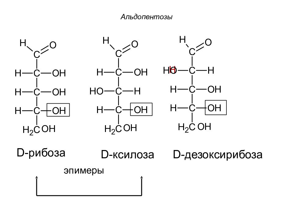 Эпимеры