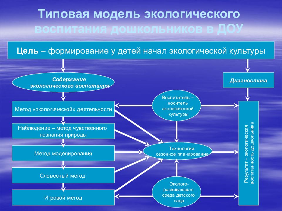 Содержание проекта по экологии