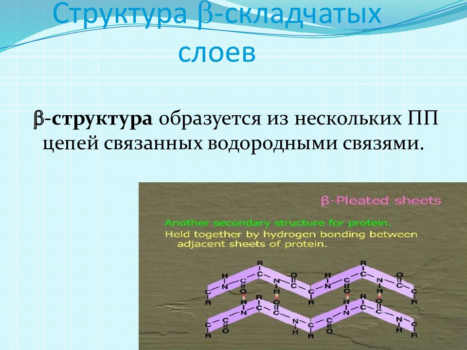 Белки и пептиды презентация