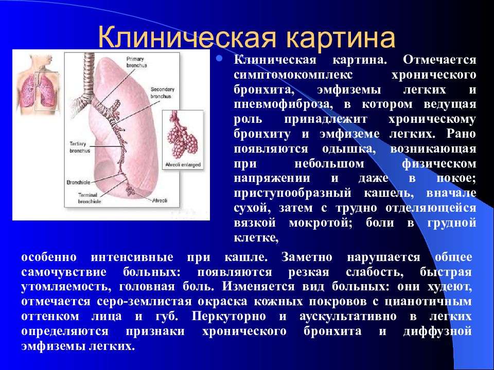 Бронхит аускультативная картина