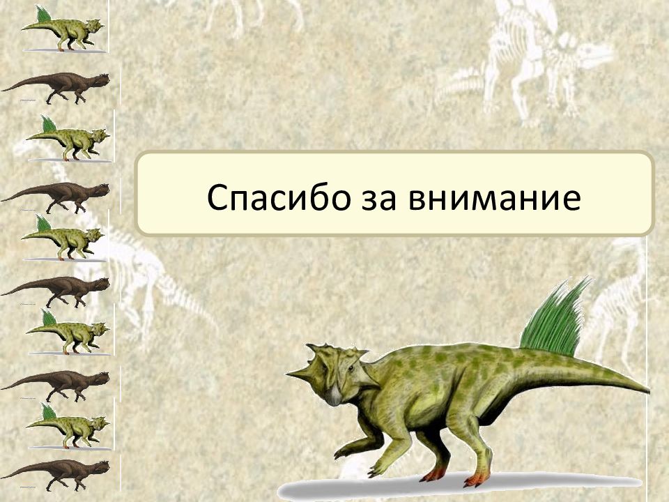 История жизни на земле. Спасибо за внимание с динозаврами. Спасибо за внимание для презентации с динозаврами. Динозавр конец презентации. Спасибо за внимание Эволюция.