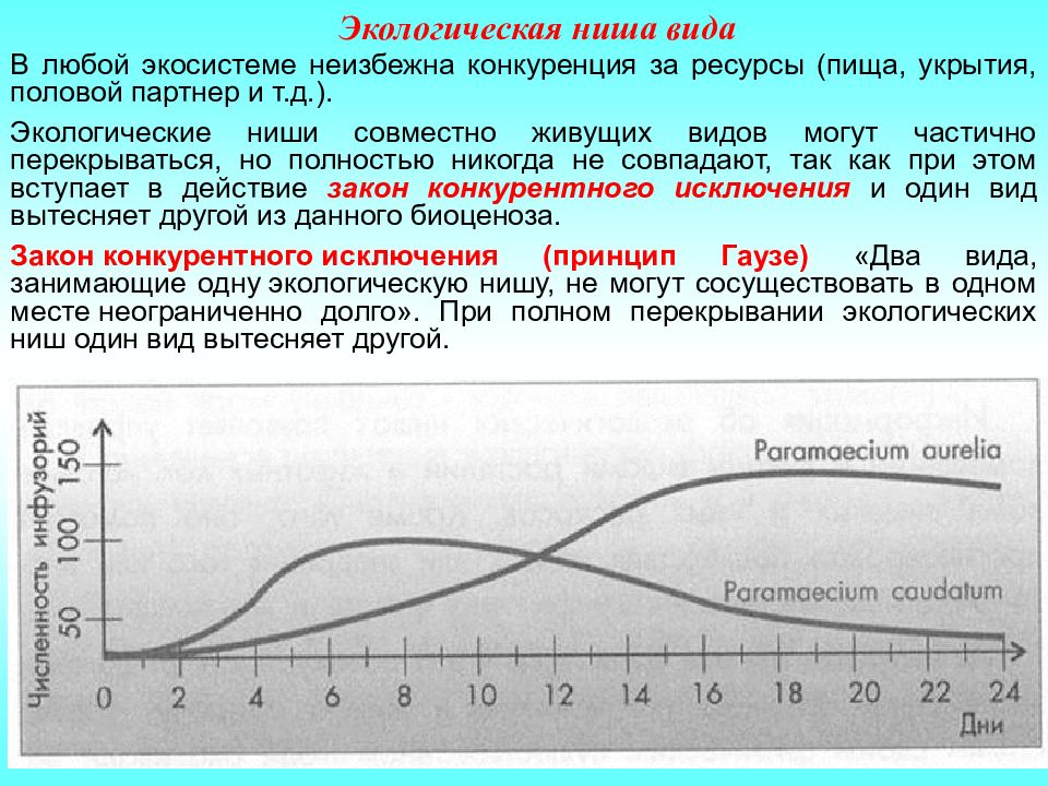 Экологическая ниша человека картинки