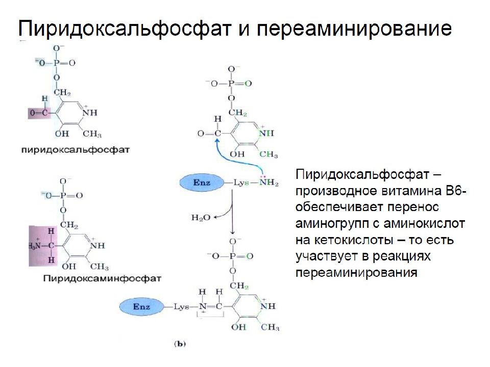 Синтез витамина c