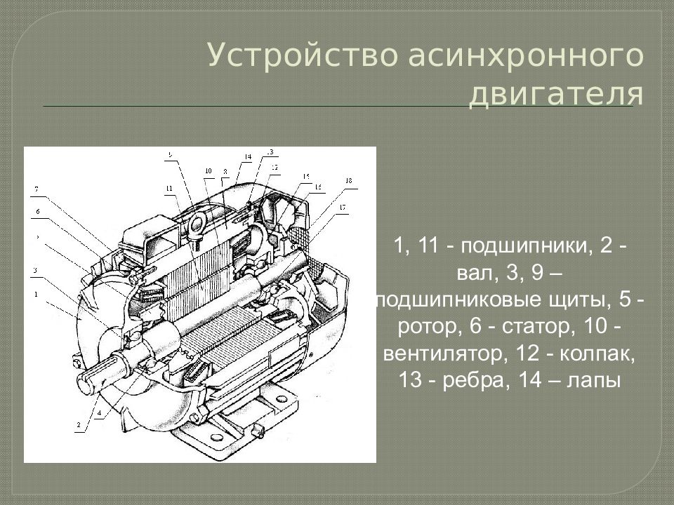 Асинхронный двигатель с короткозамкнутым ротором презентация