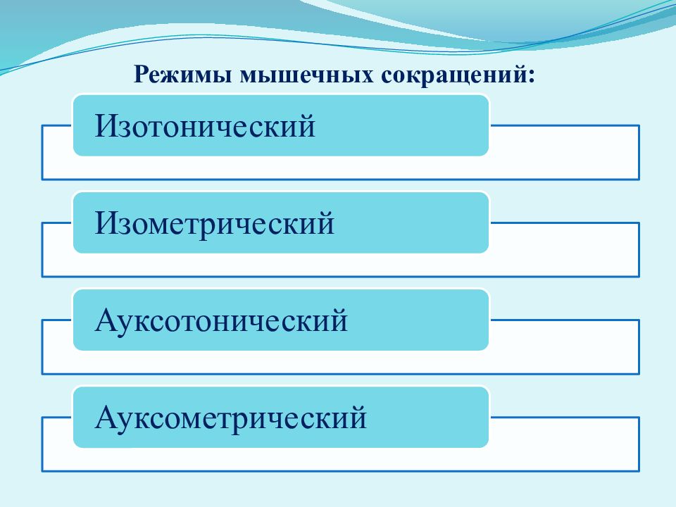 Режимы мышц. Режимы мышечных сокращений. Режимы деятельности мышц. Режимы мышечной деятельности.