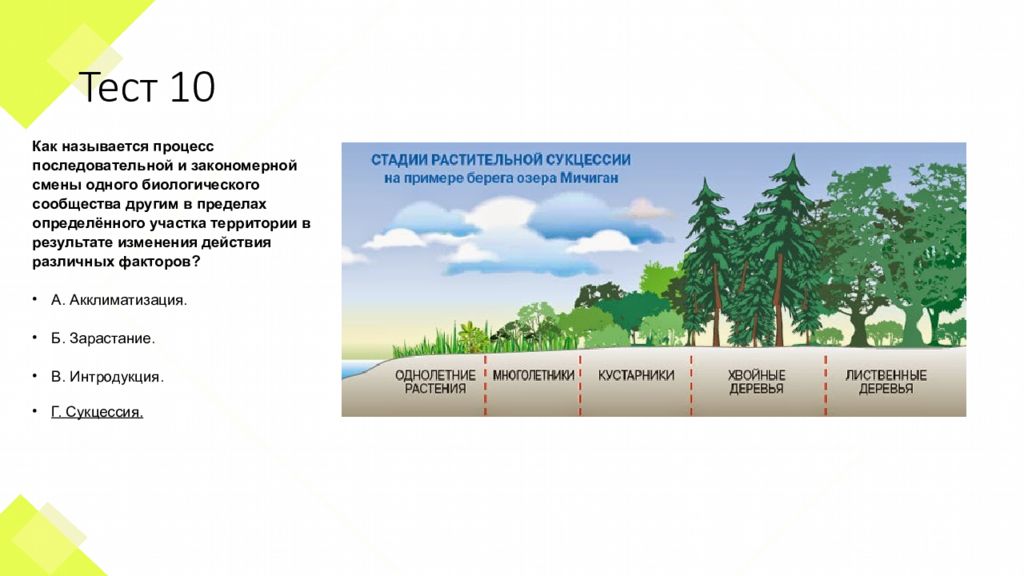 Этапы зарастания пустыря. Областной региональный этап. Степени зарастания территории. Био ЕГЭ этапы зарастания леса.