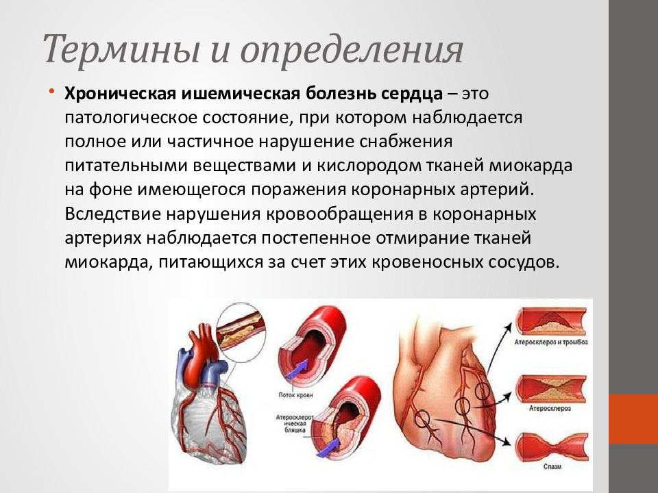 Сестринская помощь при патологии сердечно сосудистой системы презентация