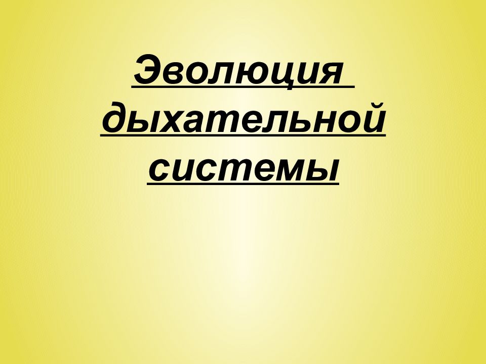 Эволюция дыхательной системы презентация 7 класс