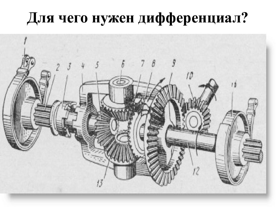 Схема главной передачи и дифференциала