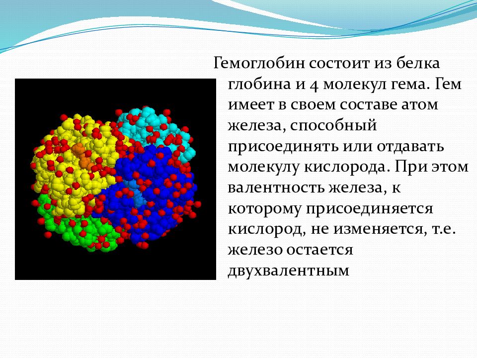 Какое соединение молекулы гемоглобина с кислородом. Железо в эритроцитах валентность. Гемоглобин состоит из 4 молекул гема. Валентность железа в гемоглобине. Железо в гемоглобине валентность.
