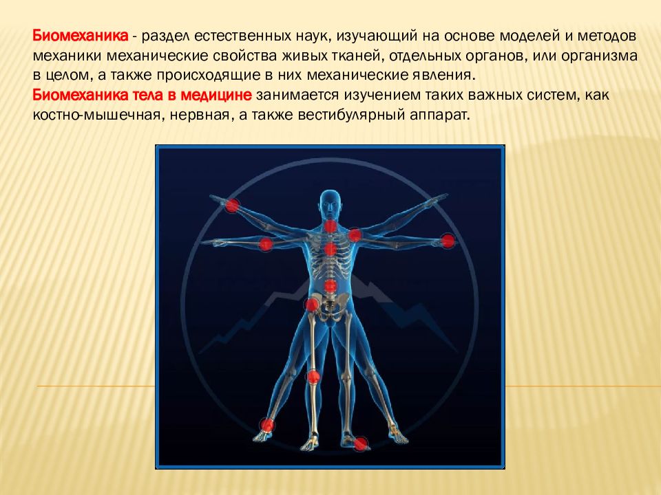 Презентация на тему биомеханика