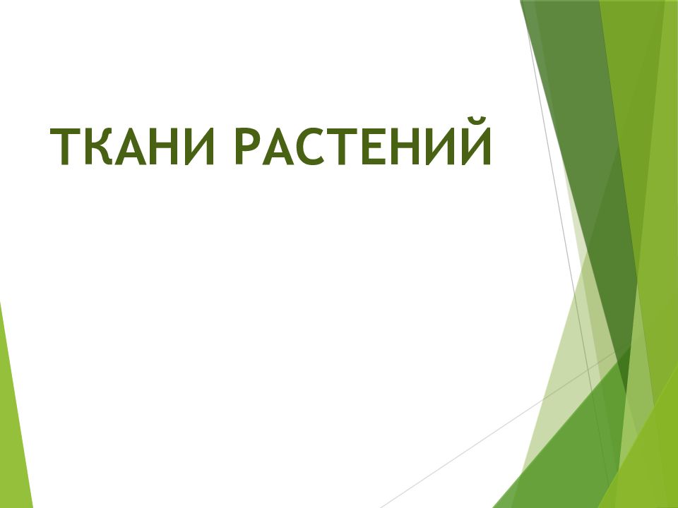ТКАНИ РАСТЕНИЙ