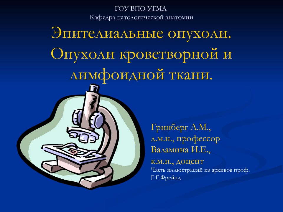 ГОУ ВПО УГМА Кафедра патологической анатомии Эпителиальные опухоли. Опухоли кроветворной и лимфоидной ткани.