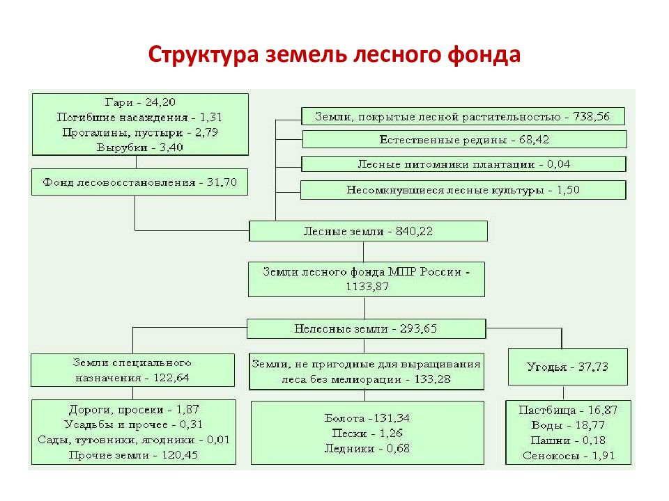 Структура земель лесного фонда.