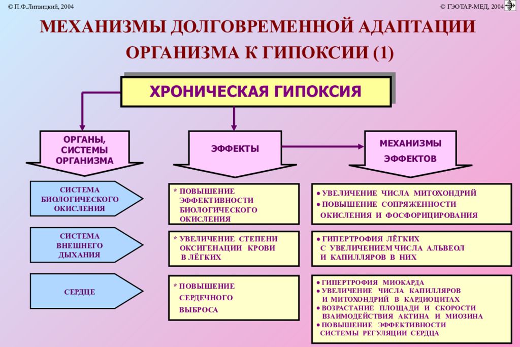 Схема развитие срочных компенсаторно приспособительных реакций при остро развивающейся гипоксии