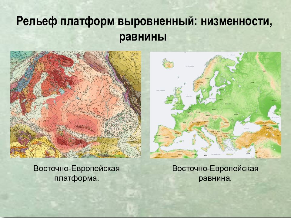 Восточно европейская платформа. Восточно-европейская платформа рельеф структура. Низменности Восточно европейской платформы. Восточно европейская равнина платформа. Восточно европейская пл.